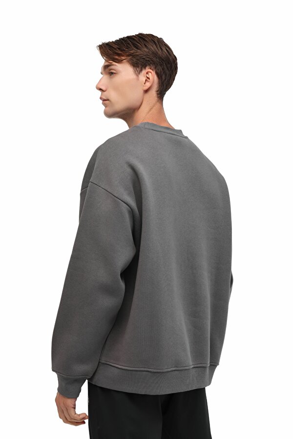 Lumberjack MB ROS 16HS108 5PR Gri Erkek Sweatshirt