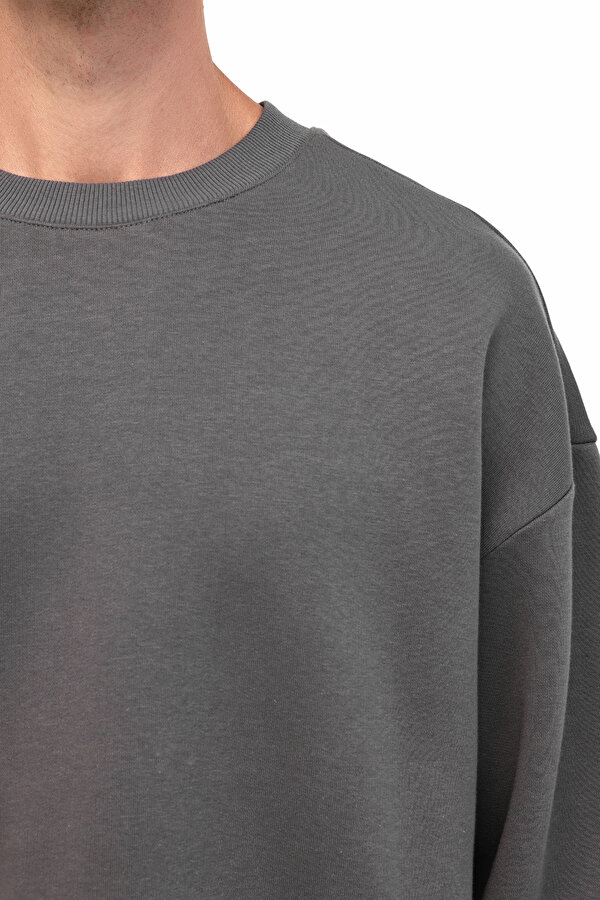 Lumberjack MB ROS 16HS108 5PR Gri Erkek Sweatshirt