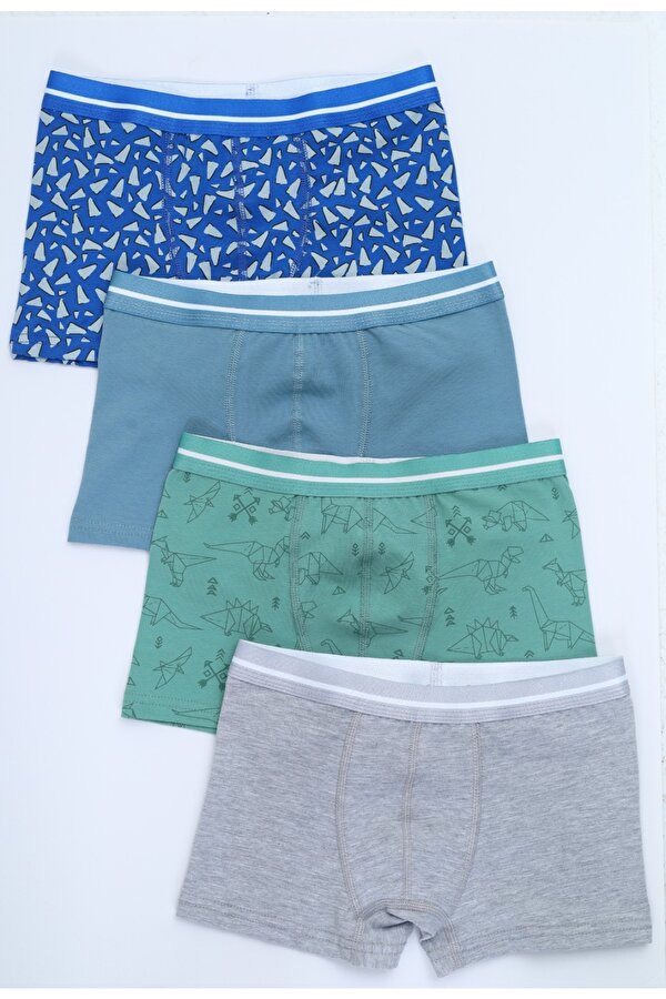 Toontoy Kids Toontoy Erkek Çocuk Hayvan Figürlü 4lü Paket Boxer