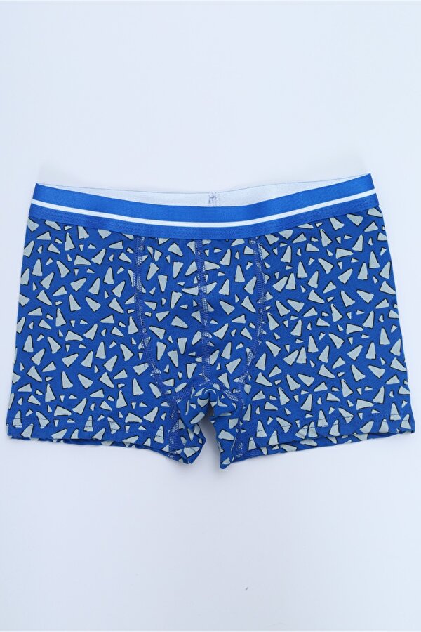 Toontoy Kids Toontoy Erkek Çocuk Hayvan Figürlü 4lü Paket Boxer