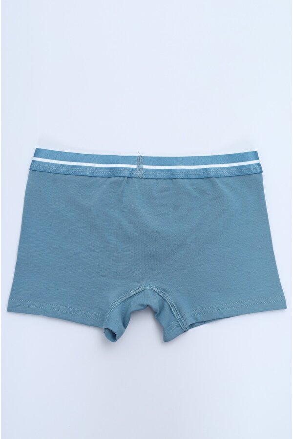 Toontoy Kids Toontoy Erkek Çocuk Hayvan Figürlü 4lü Paket Boxer