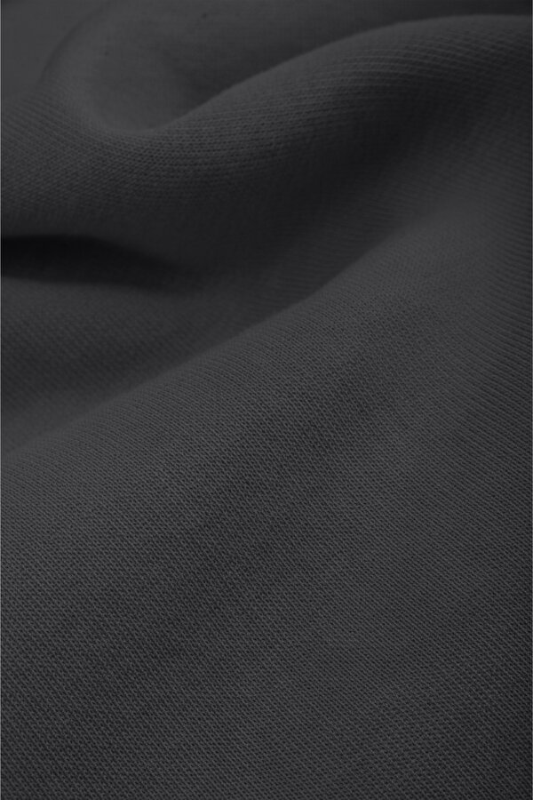 Deep Sea DeepSEA Erkek Füme Relax Fit İçi Polarlı %100 Pamuk Yarım Fermuarlı Dik Yaka Sweatshirt 2600760