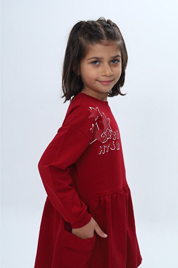 Toontoy Kids Kız Çocuk Baskılı Relax Fit Bisiklet Yaka Düşük Omuz Uzun Kollu Baskılı Elbise