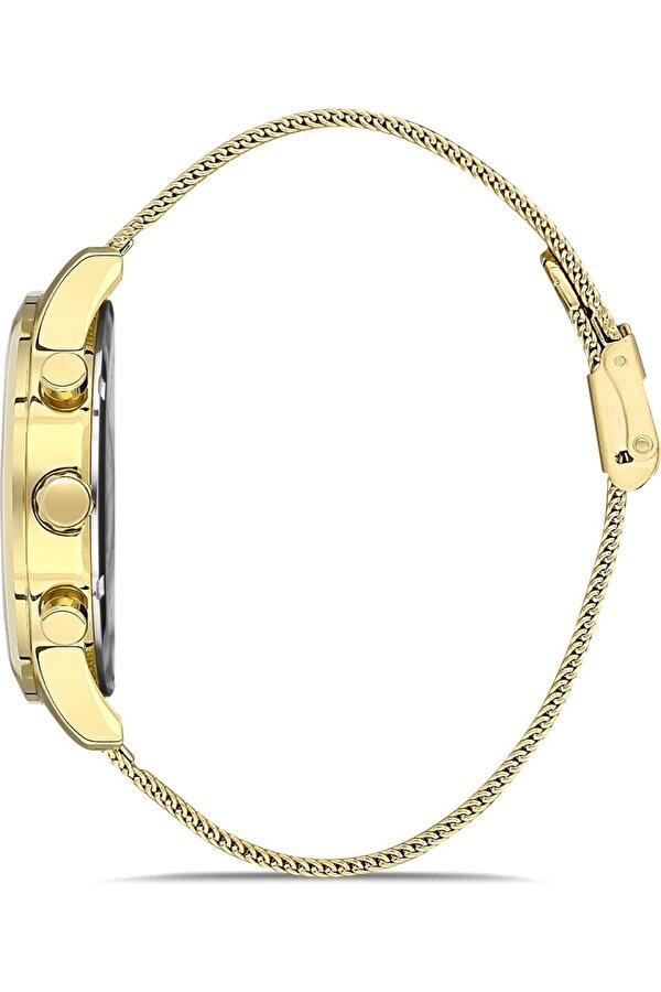 Bigotti Bıgottı Erkek Kol Saati Bg.1.10384.5