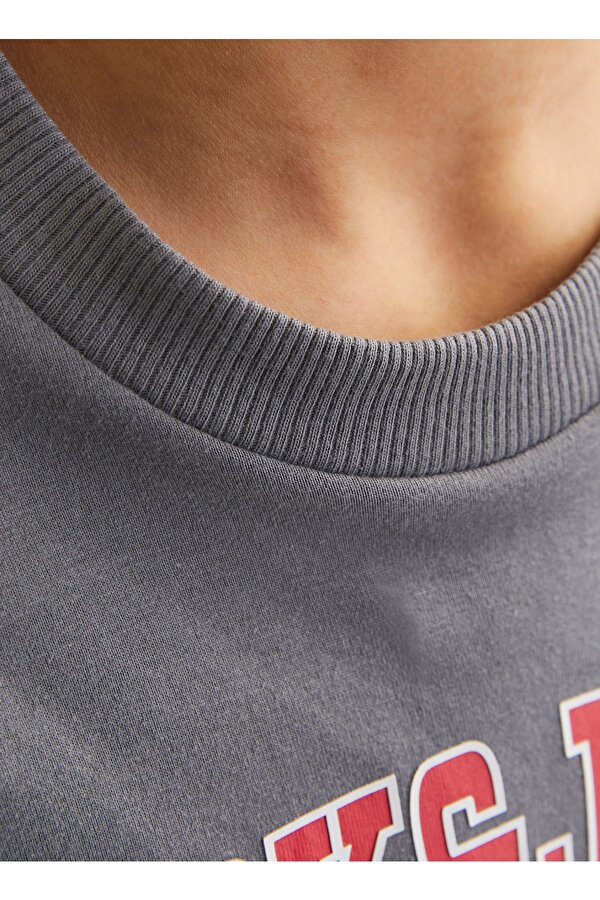 Jack & Jones Baskılı Füme Erkek Çocuk T-Shirt 12258924
