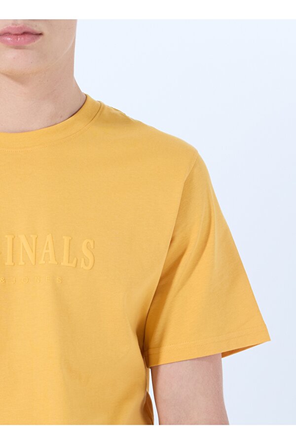 Jack & Jones Turuncu Erkek Normal T-Shirt 12262494_JORFREDERIKSBERG TEE SS CR