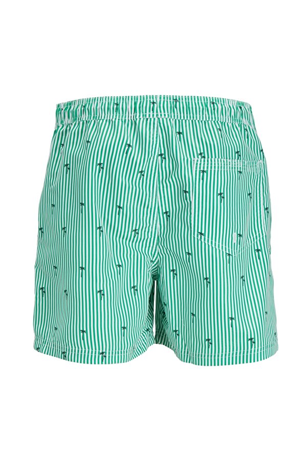 Jack & Jones Yeşil Erkek Şort Mayo JPSTFIJI JJSWIM SMALL STRIPES LY SN