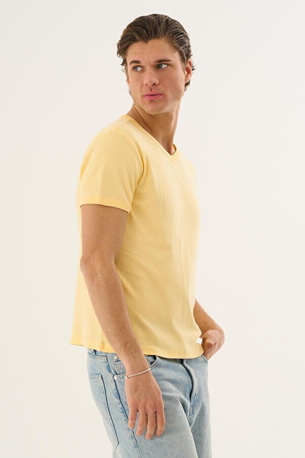 Alexander Gardi V Yaka Kısa Kollu Erkek T-shirt