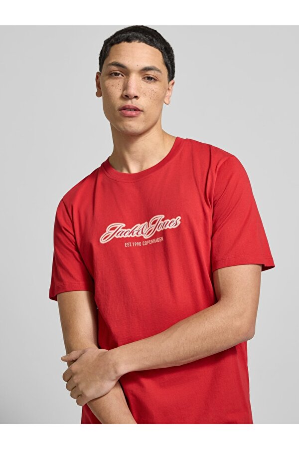 Jack&Jones Jorcatskills Ballon Tee Erkek T-shirt 12297893