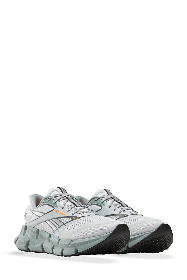 Reebok FLOATZIG 2 GRAY Man 005
