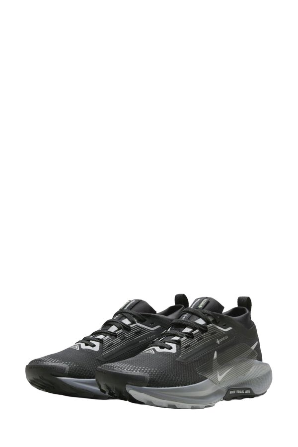 Nike Pegasus Trail 5 GORE BLACK Woman 501